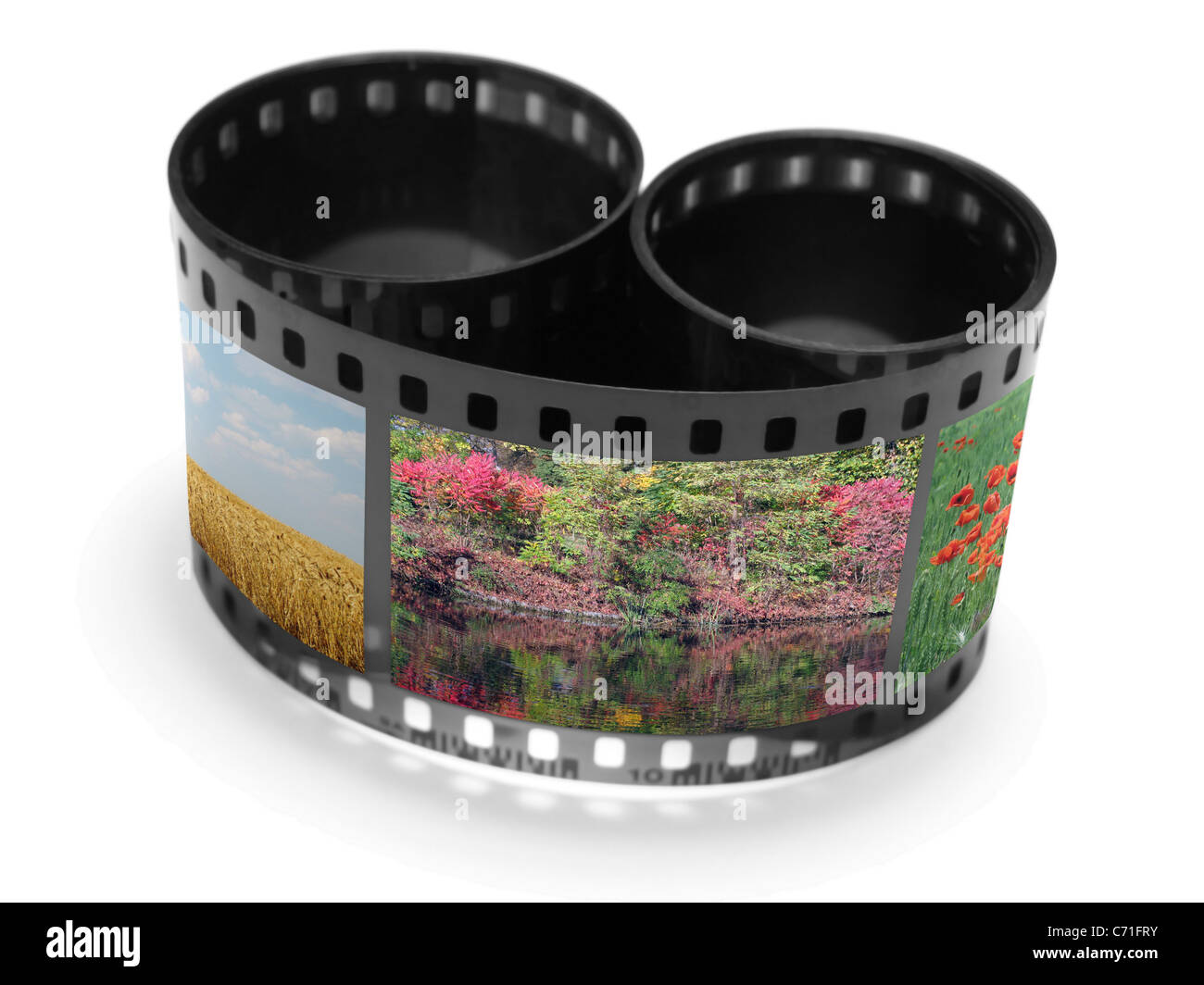 Filmrolle mit Naturaufnahmen Stockfoto