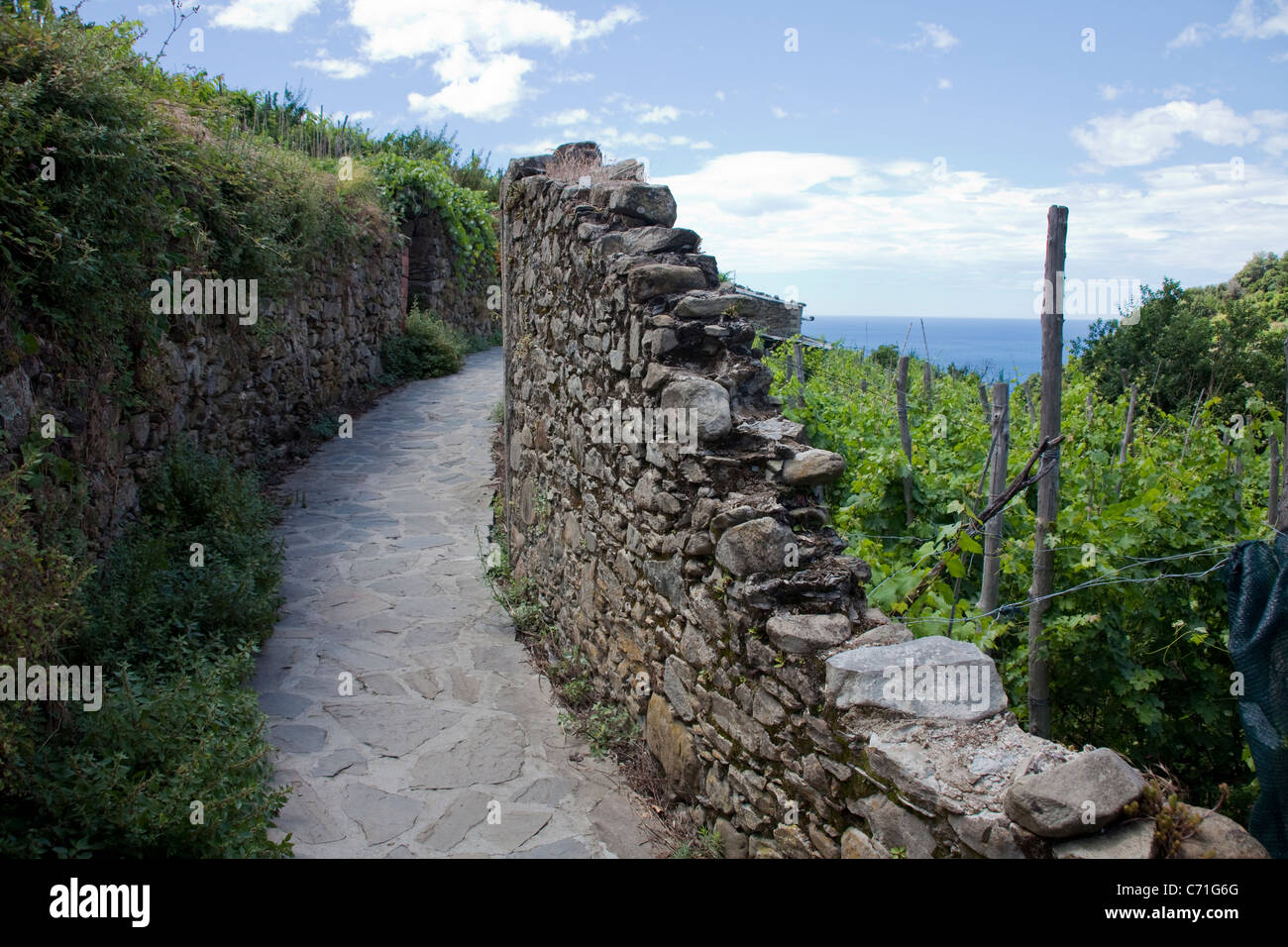 Wanderweg in Corniglia, Nationalpark Cinque Terre, UNESCO-Weltkulturerbe, Ligurien di Levante, Italien, Mittelmeer, Europa Stockfoto