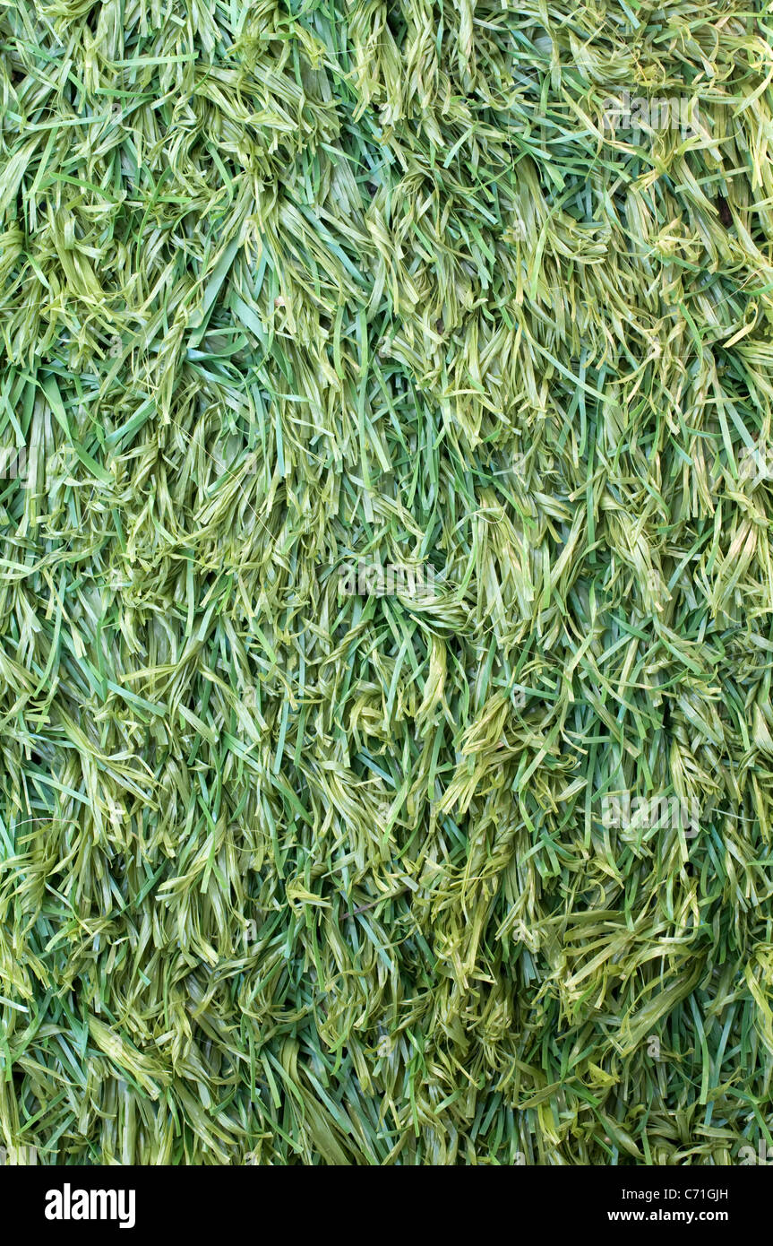 Kunstrasen - ein Close Up von Kunststoff Rasen Stockfoto