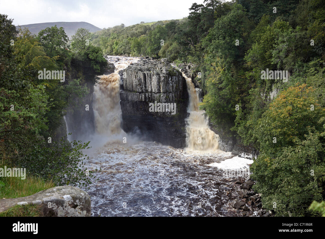 Des Flusses Tees bei hoher Kraft Wasserfall in Flut Bedingungen oberen Teesdale County Durham UK Stockfoto