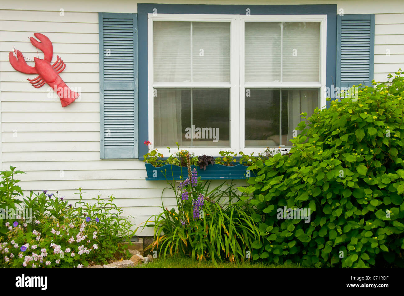 Typisches Haus Stadt von Stonington Deer Isle Maine USA Stockfoto