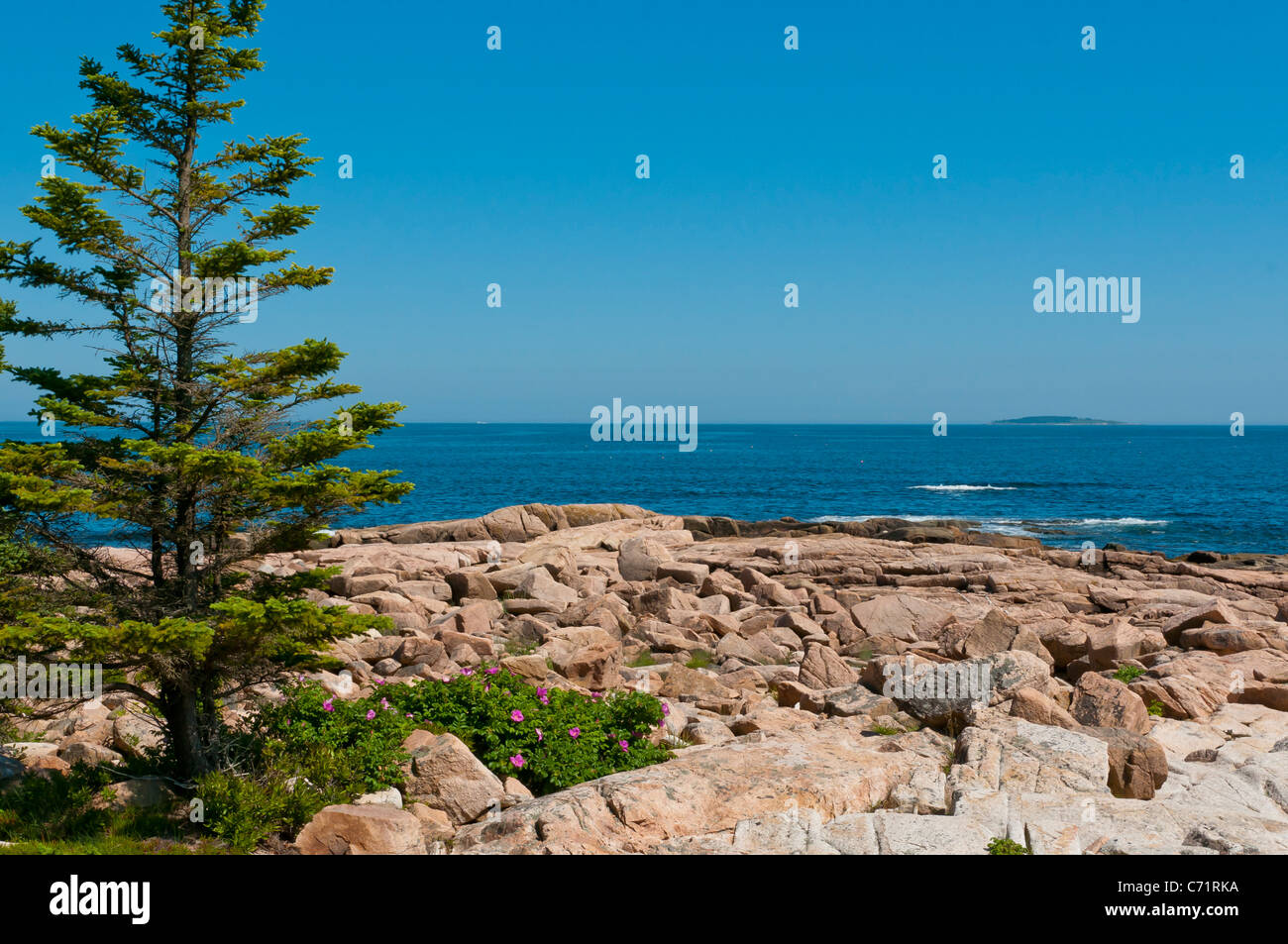 Acadia Nationalpark Maine Vereinigte Staaten von Amerika Stockfoto