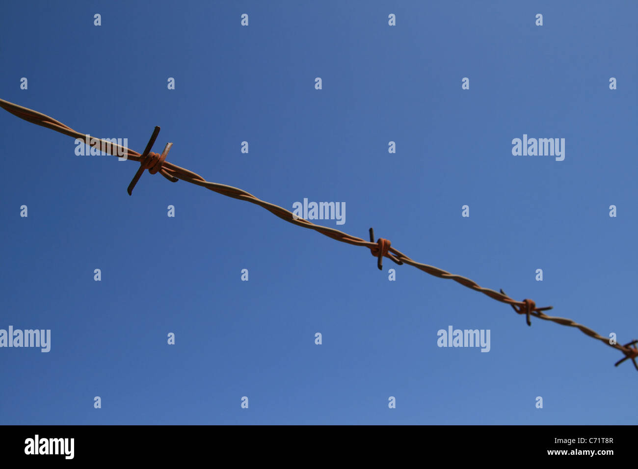 Einzelstrang der Stacheldraht Angeln über einen blauen Himmel mit selektiven Fokus Stockfoto