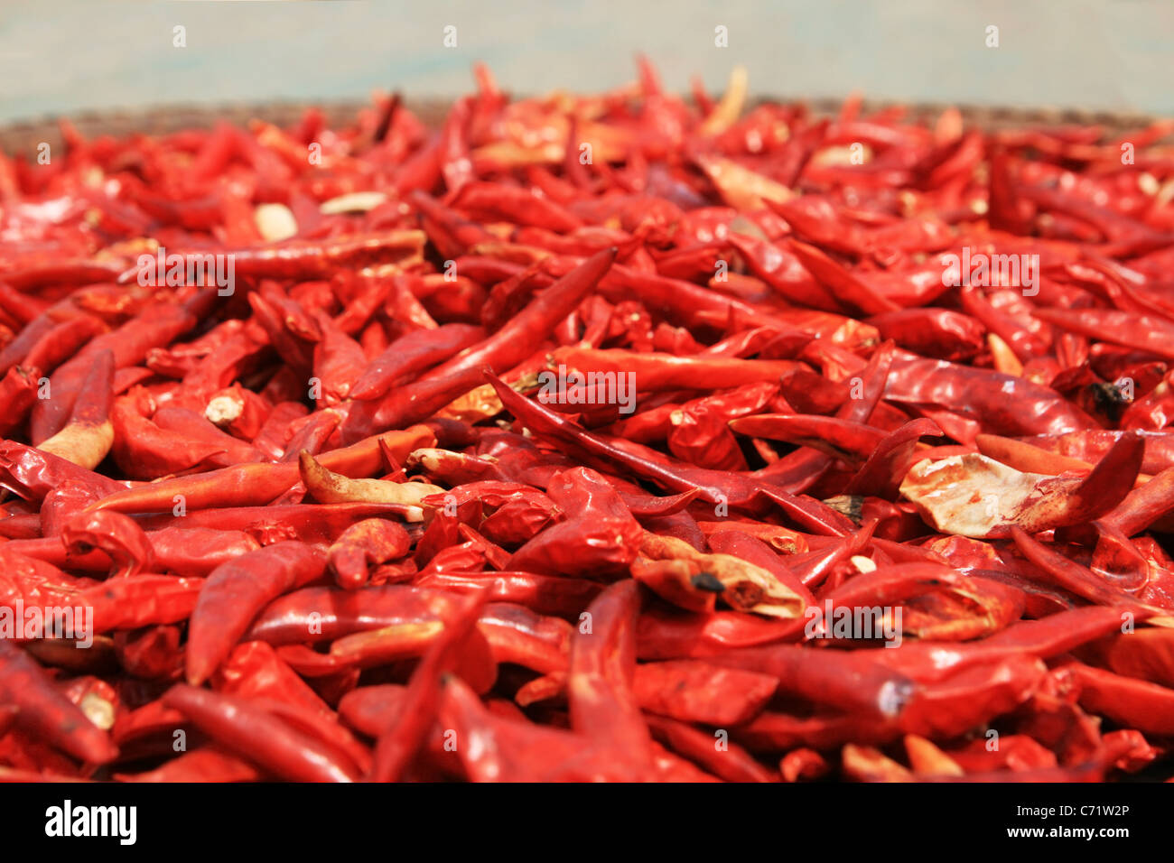 rote Chilischoten in einem Korb in der Sonne trocknen Stockfoto