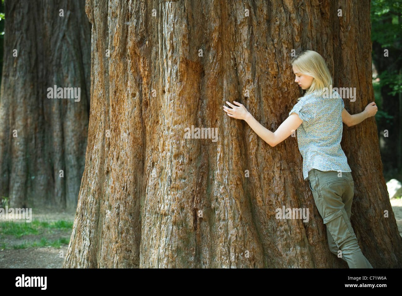 Junge Frau umarmt Baum mit Augen geschlossen Stockfoto