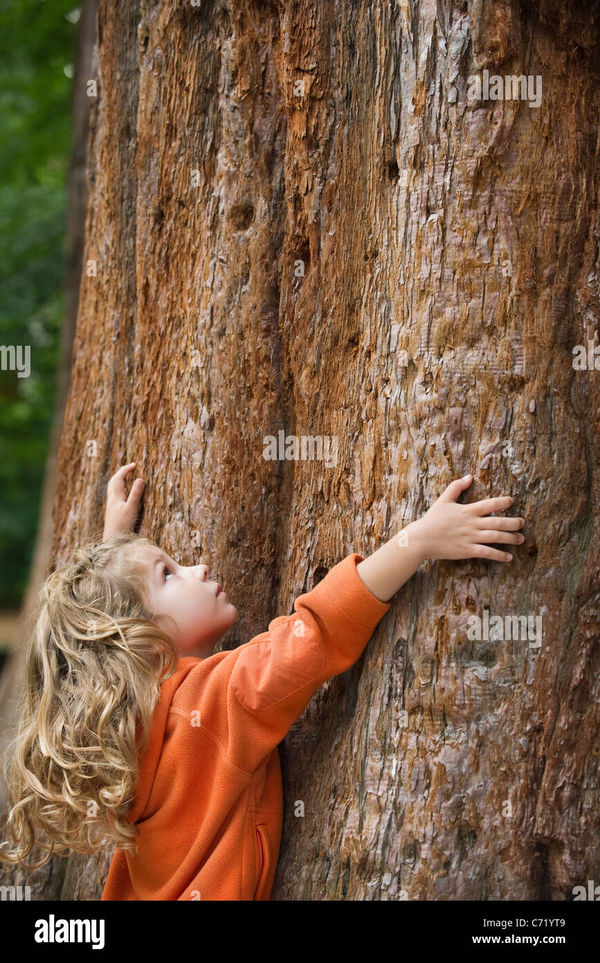 Mädchen umarmen Baum Stockfoto