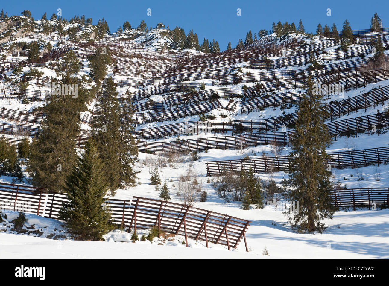 SCHUTZZAUN, LAWINENSCHUTZ, IN DER NÄHE VON SCHRÖCKEN, VORARLBERG, ÖSTERREICH Stockfoto