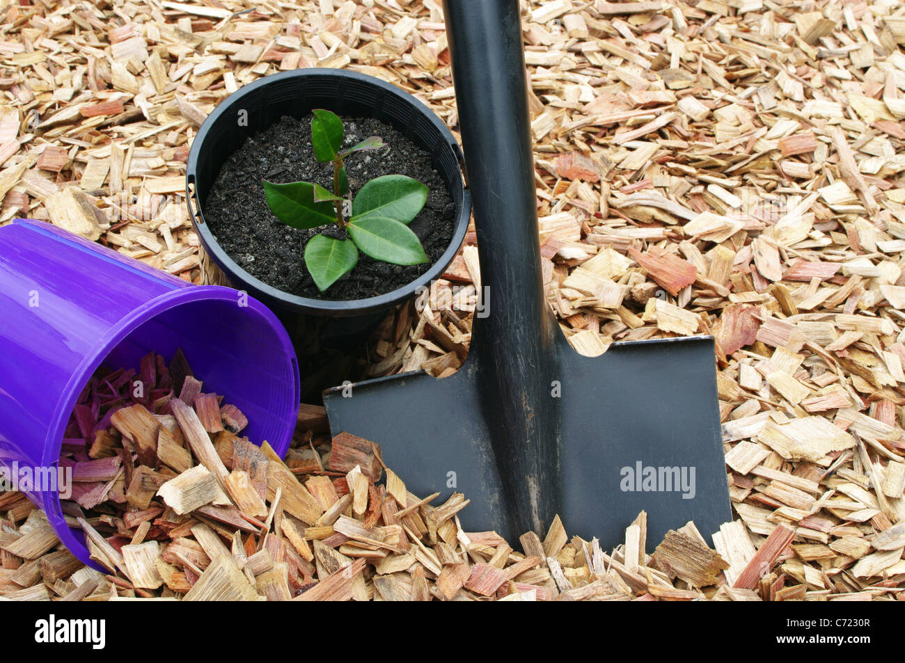 Mulch garden Stockfotos und bilder Kaufen Alamy