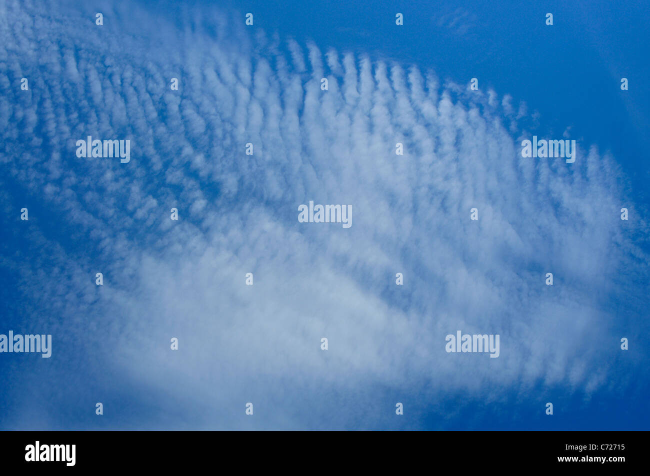 Makrele Wolken am Himmel Stockfoto
