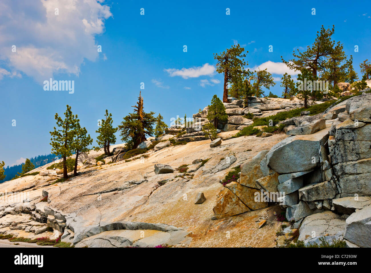 Vergletscherten Bergen neben Tioga Road, Yosemite-Nationalpark, USA. JMH5273 Stockfoto