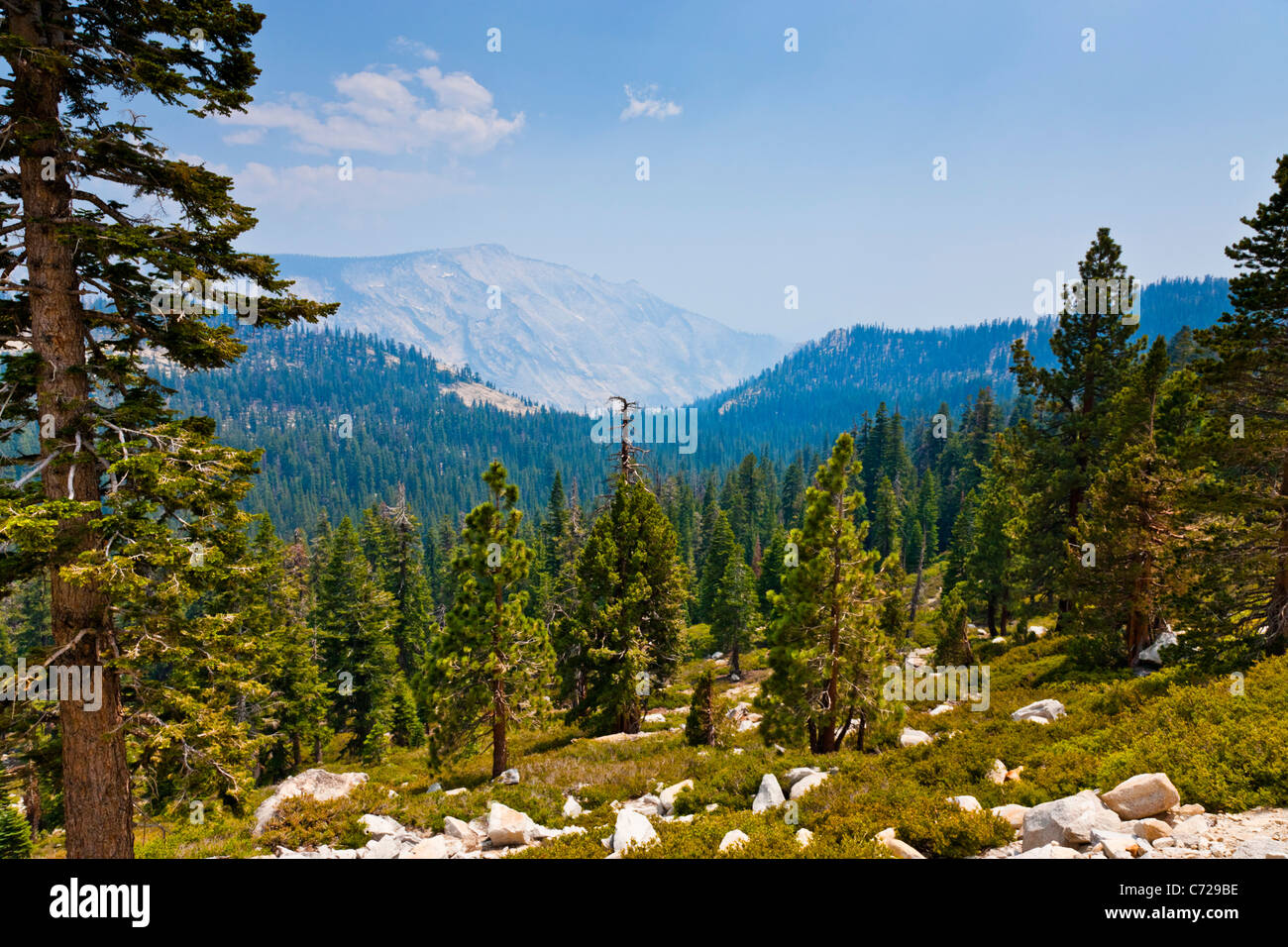 Blick auf Yosemite Valley zum Half Dome von Tioga Road, Yosemite-Nationalpark, USA. JMH5282 Stockfoto