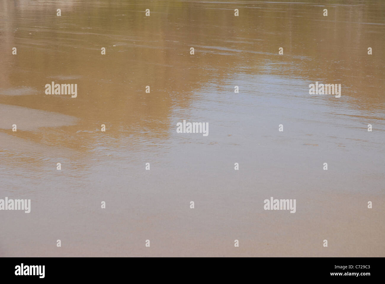 Reflexionen in den nassen Sand, Florenz Bay, Magnetic Island, Queensland, Australien Stockfoto