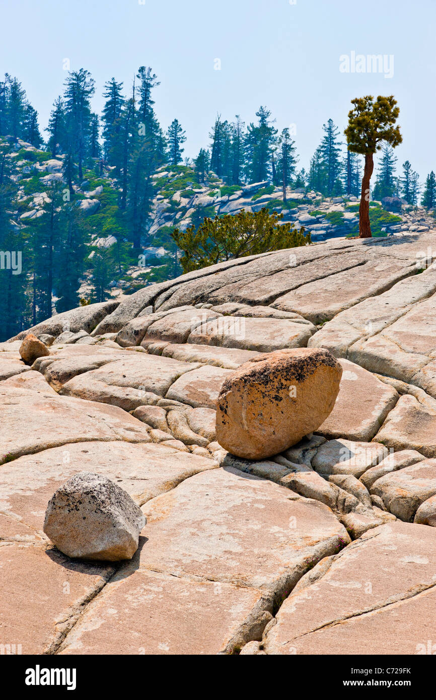 Vergletscherte Berg mit Felsbrocken und Grykes oder Risse neben Tioga Road, Yosemite-Nationalpark, USA. JMH5288 Stockfoto