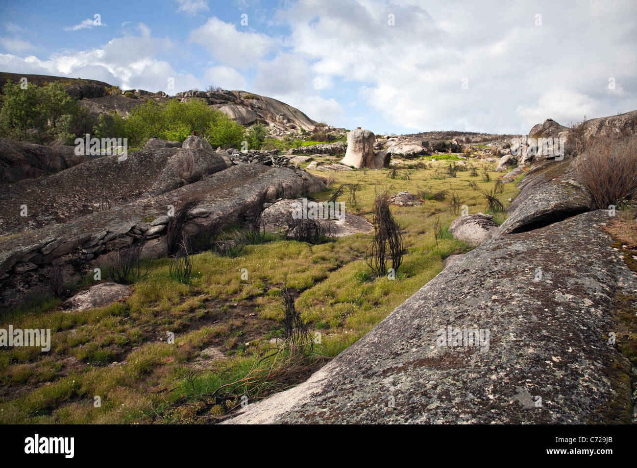 Standing Stones aus alten Zeiten mit Töpfen auf sie, Region Beira Alta gelegt Stockfoto Standing Stones aus alten Zeiten mit Töpfen auf sie, Region Beira Alta gelegt Stockfoto