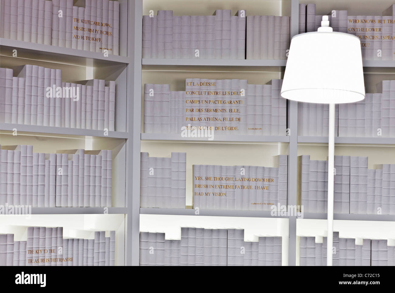 Bücherregal, gesäumt von Büchern ganz in weiß Stockfoto