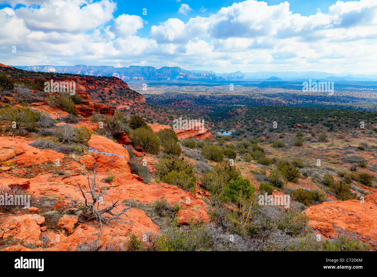 Wüstenlandschaft in der Nähe von Sedona Arizona Stockfoto