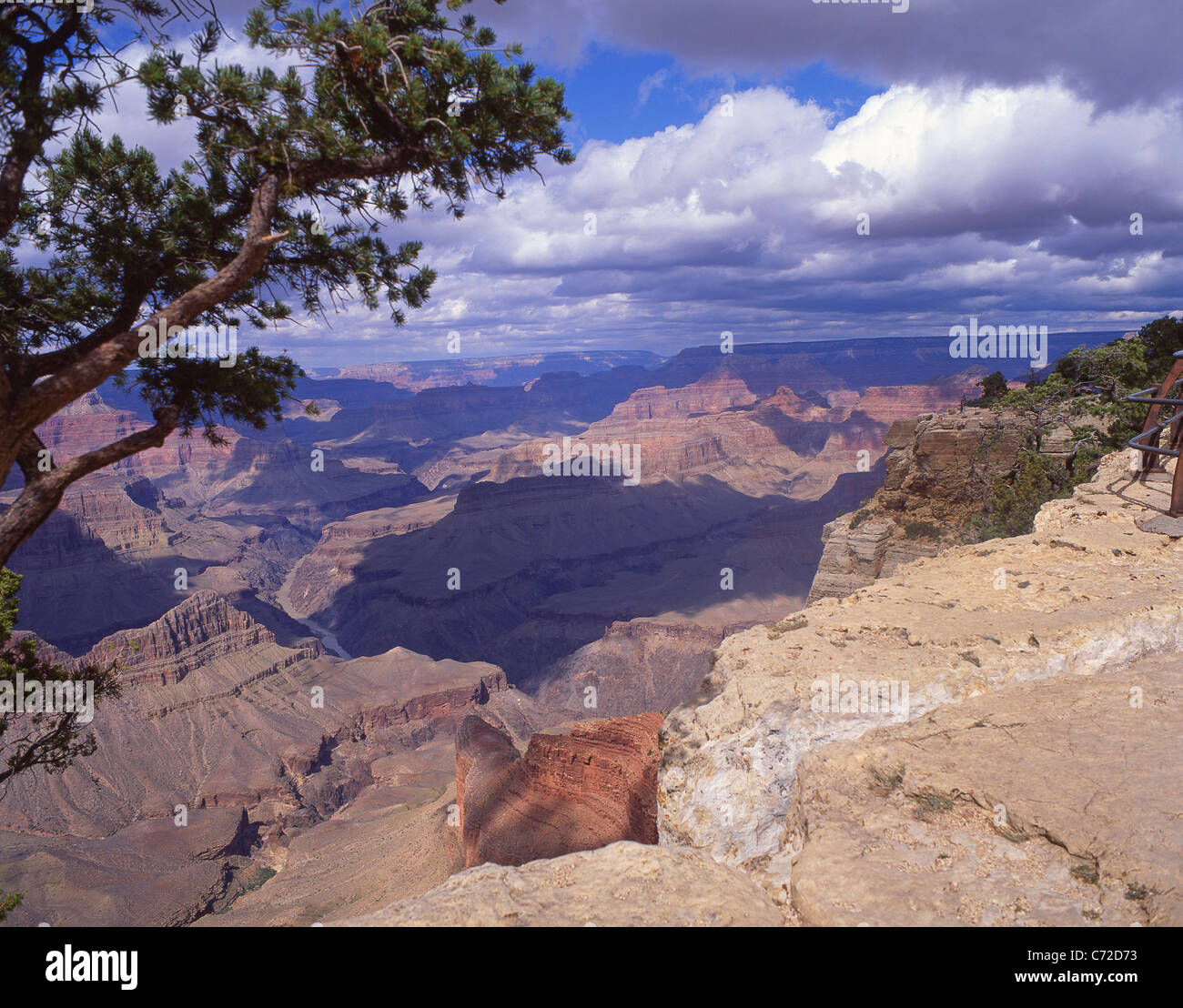 Südrand des Grand Canyon, Grand Canyon National Park, Arizona, Vereinigte Staaten von Amerika Stockfoto