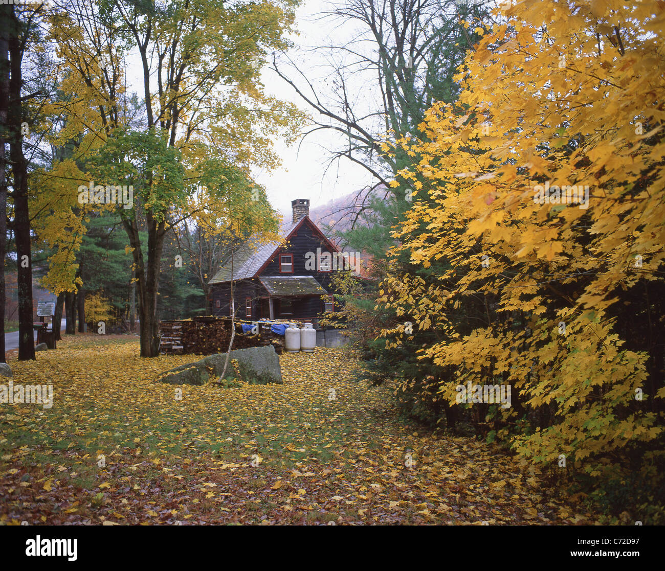 Kleine Hütte im Wald im Herbst, in der Nähe von Woodstock, Vermont, Vereinigte Staaten von Amerika Stockfoto