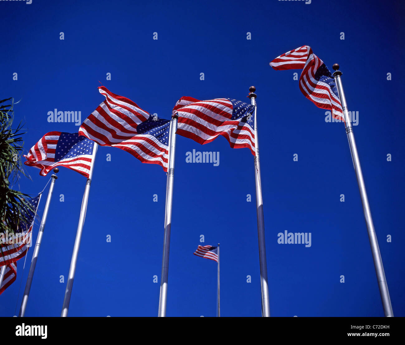 "Stars & Stripes" U.S. Fahnen, Downtown Los Angeles, Los Angeles, California, Vereinigte Staaten von Amerika Stockfoto
