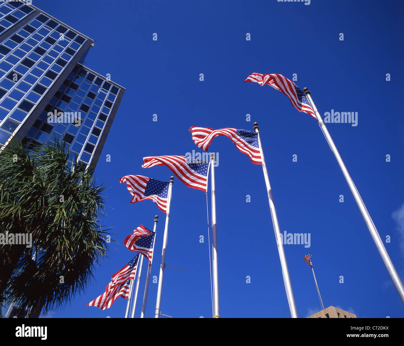 "Stars & Stripes" U.S. Fahnen, Downtown Los Angeles, Los Angeles, California, Vereinigte Staaten von Amerika Stockfoto
