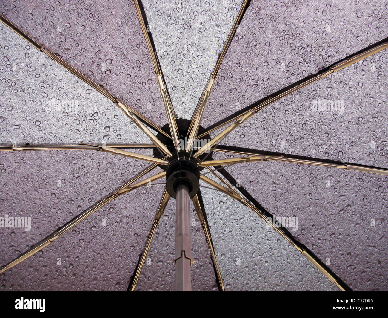 unter schwarzen Regenschirm Stockfoto