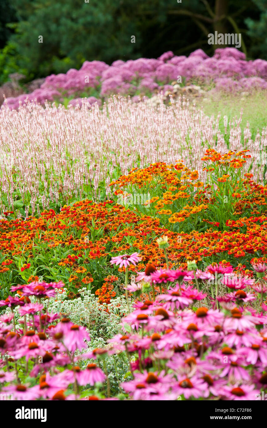 Die Millenium-Garten am Pensthorpe Natur zu reservieren, Norfolk, Großbritannien, wurde entworfen von Piet Oudolf, Stockfoto
