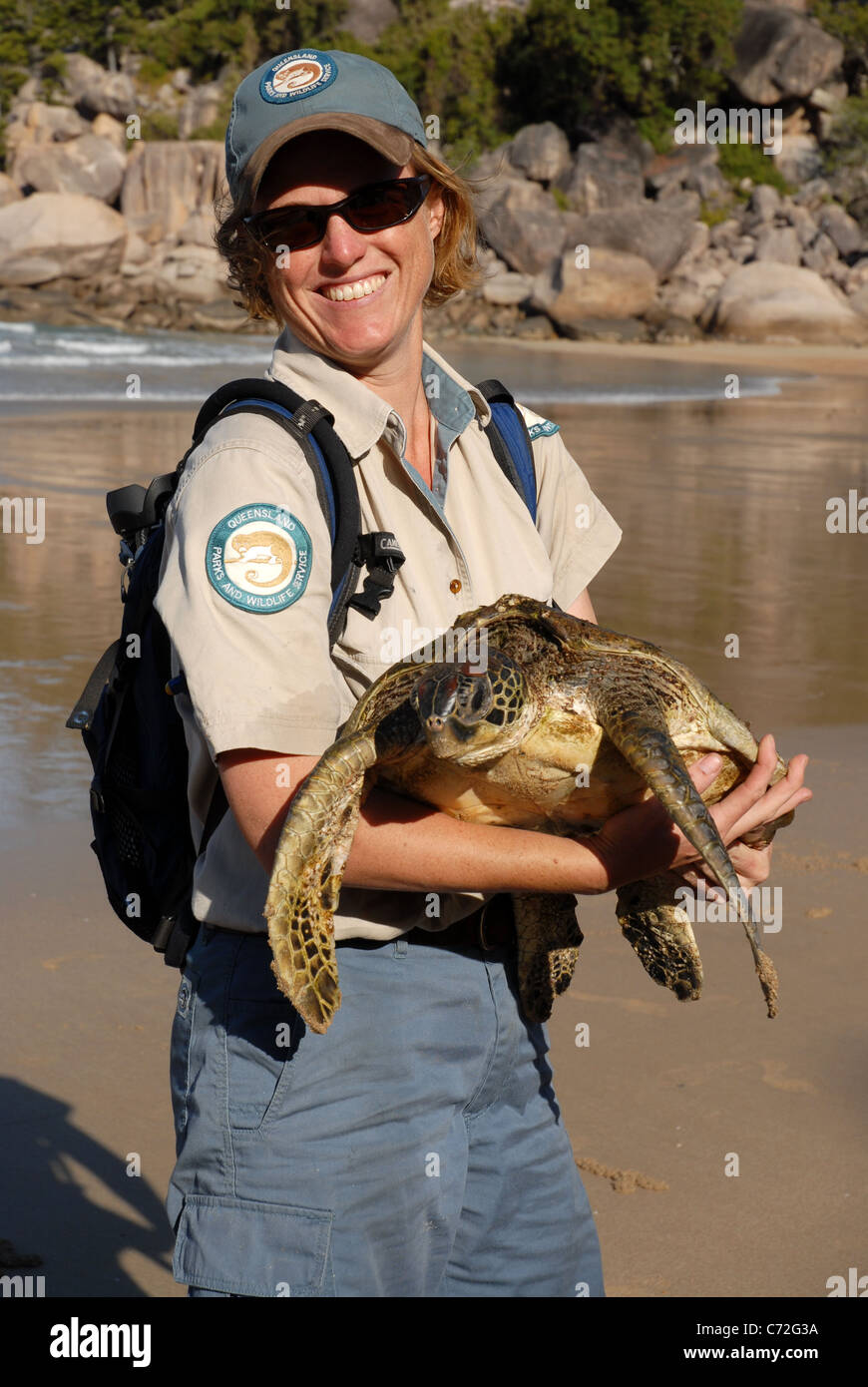 & Wildlife Parks Ranger mit unterernährten grüne Schildkröte gerettet vom Strand, Florence Bay, Magnetic Island, Queensland, Australien Stockfoto
