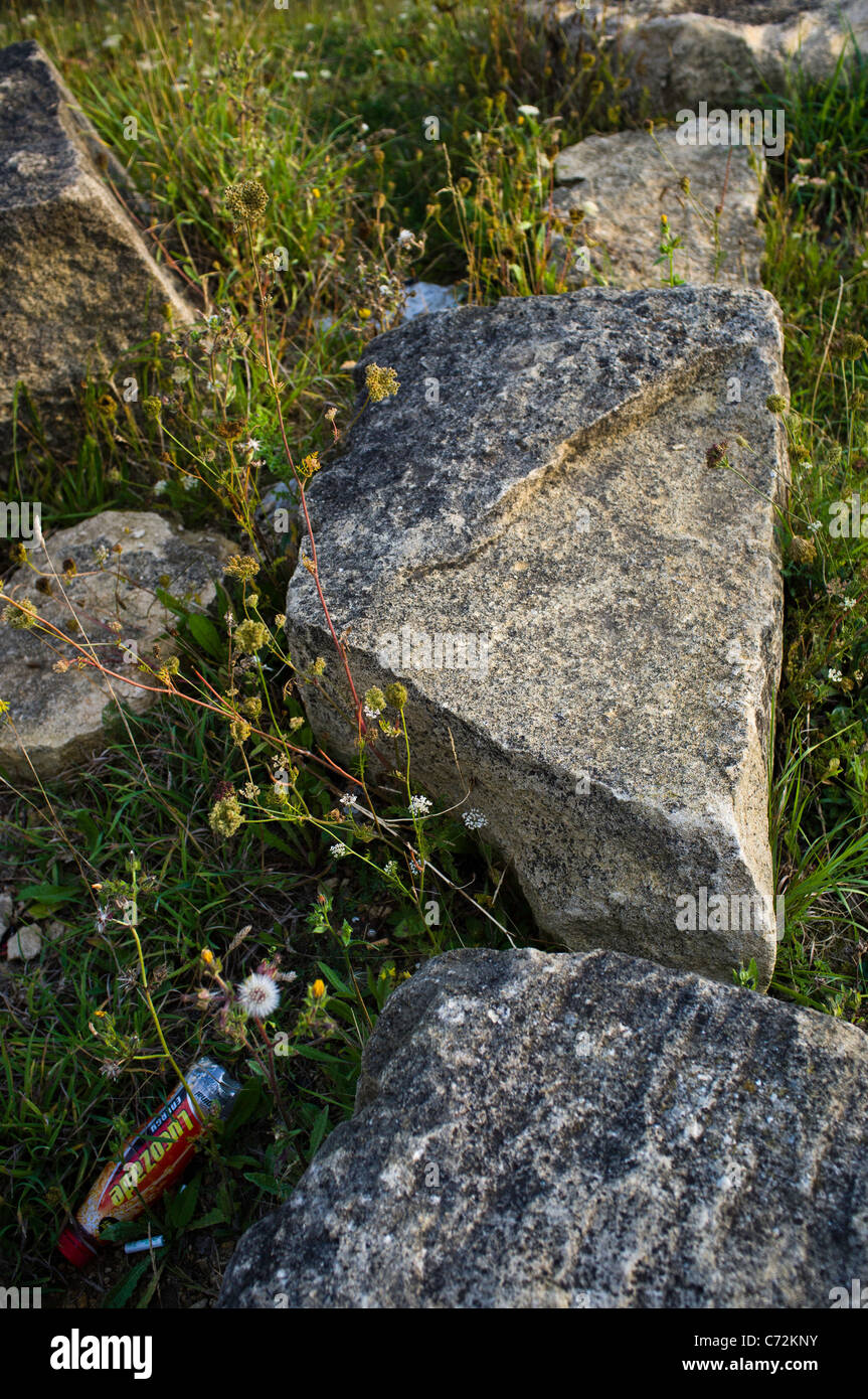 Wurf in einem Schönheitsstelle Stockfoto