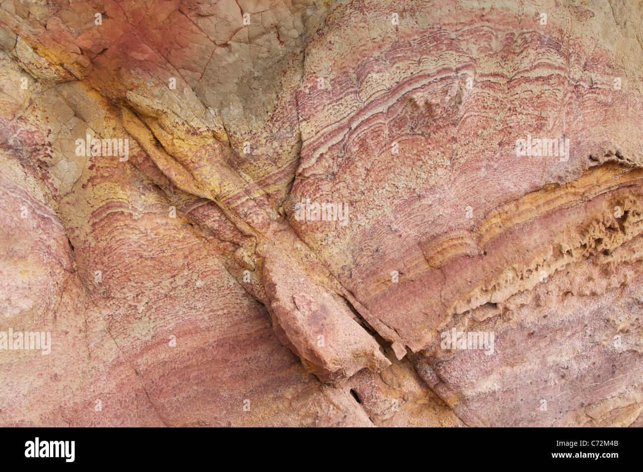 Die sedimentären Schichten der Wealden Betten, offenbart in der Unterkreide Klippen an der Worbarrow Bucht auf der Jurassic Coast. Dorset, England, Vereinigtes Königreich. Stockfoto