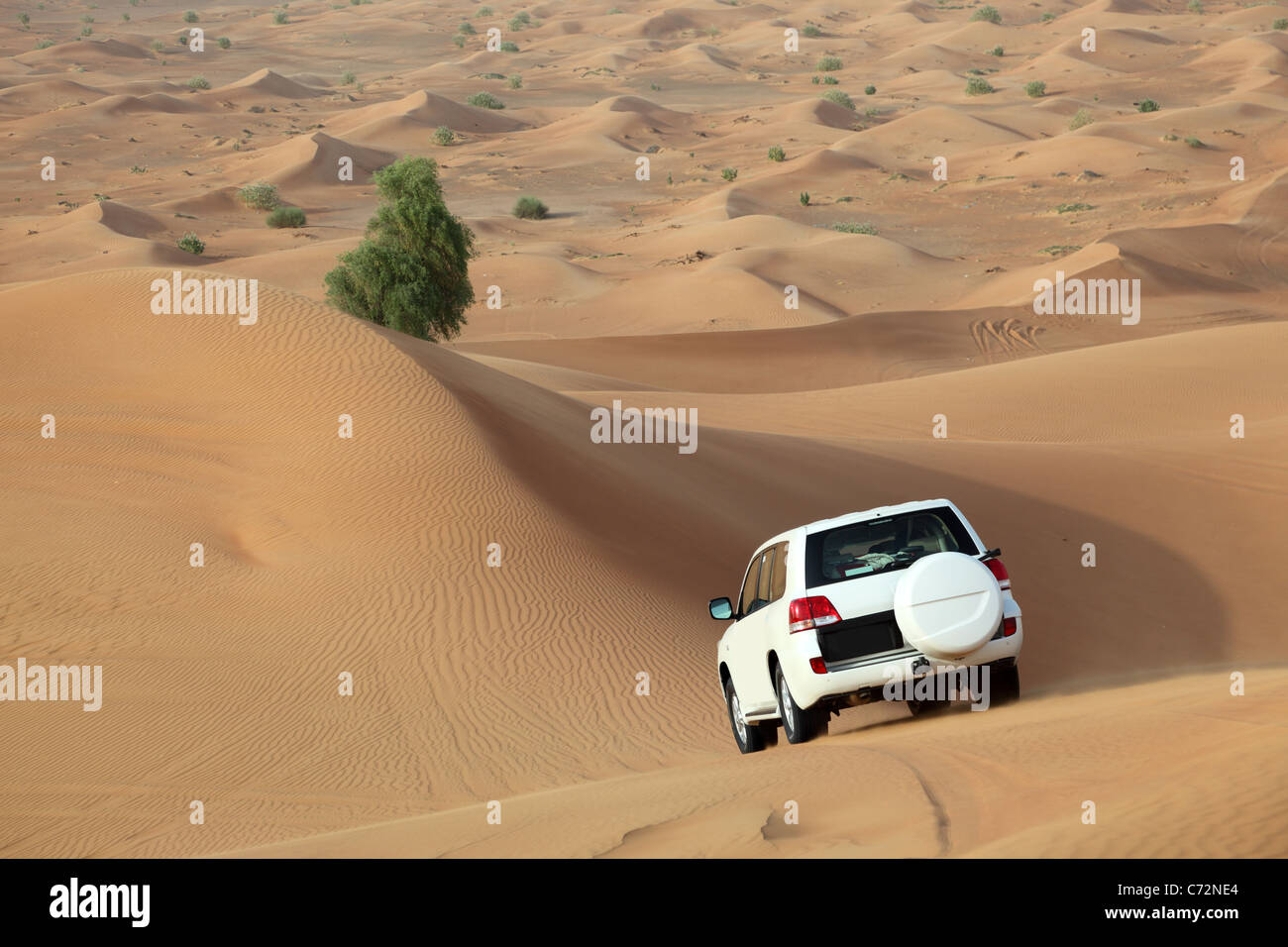 Dune bashing in Dubai, Vereinigte Arabische Emirate Stockfoto