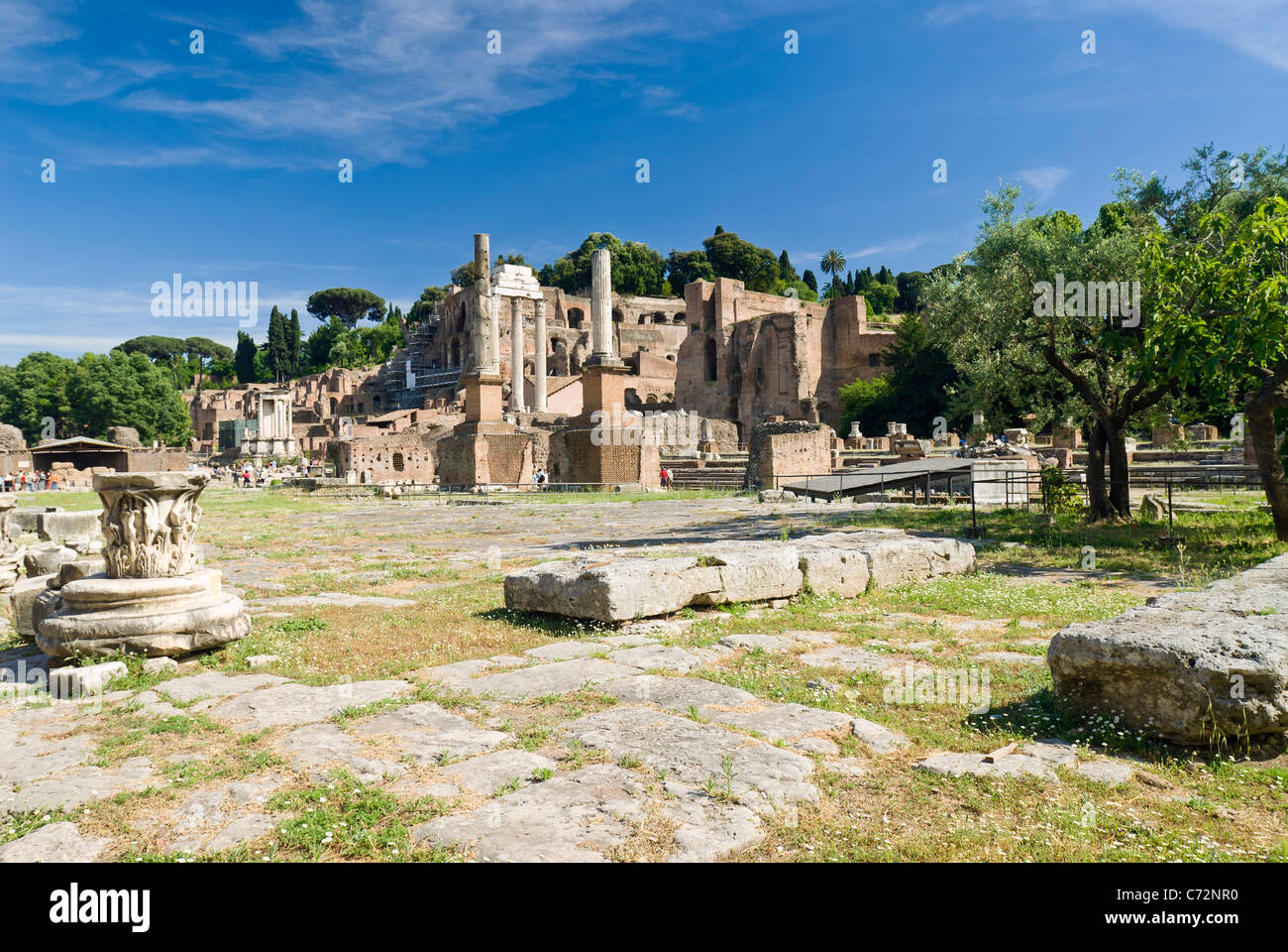 Rom, Italien. Der Hauptplatz im Forum Romanum. Stockfoto