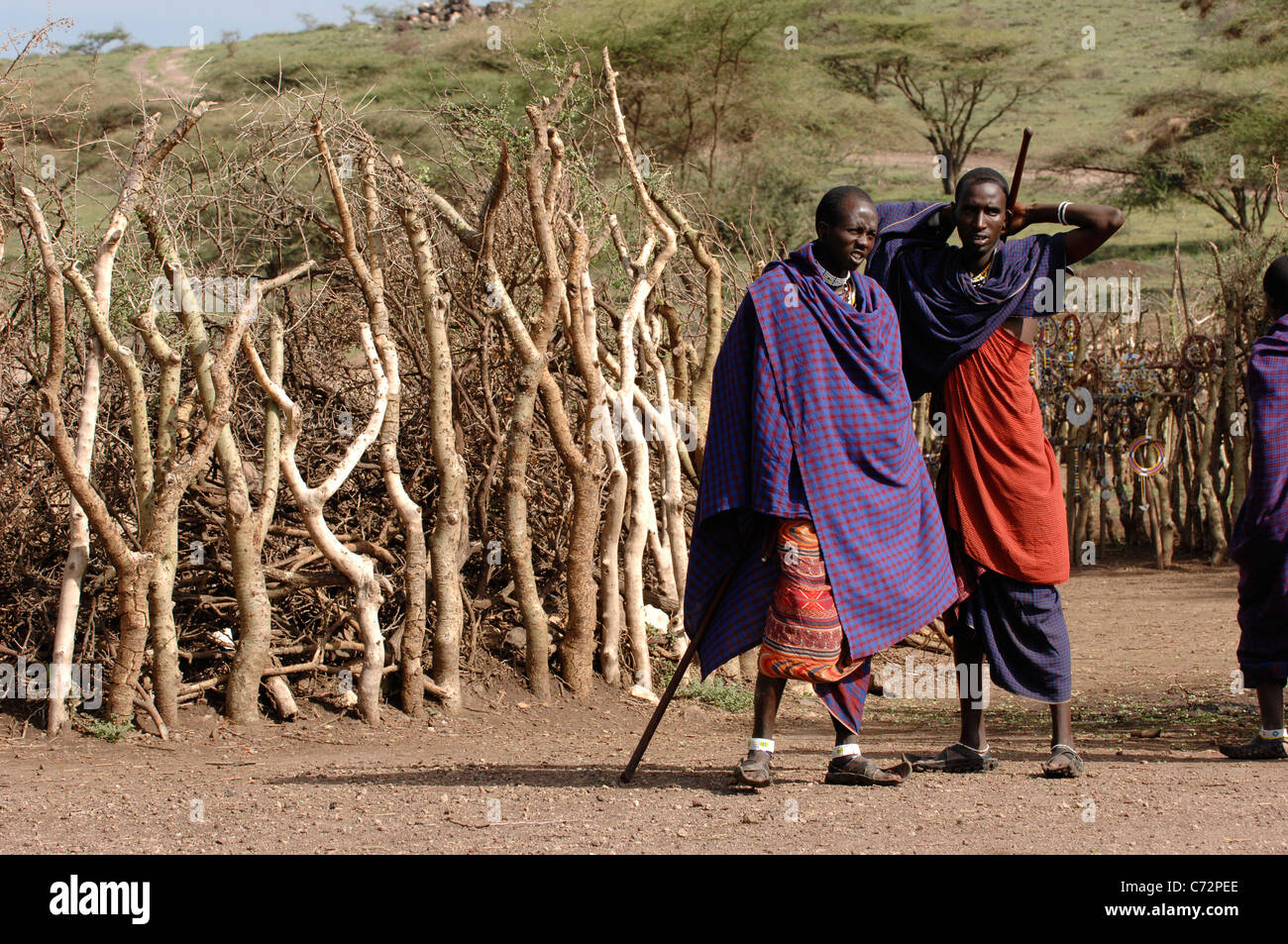 Afrika. Tansania. Am 5. März 2009. Massai-Dorf. Ein Doppelporträt Maasai-Männer. Savanne. Stockfoto