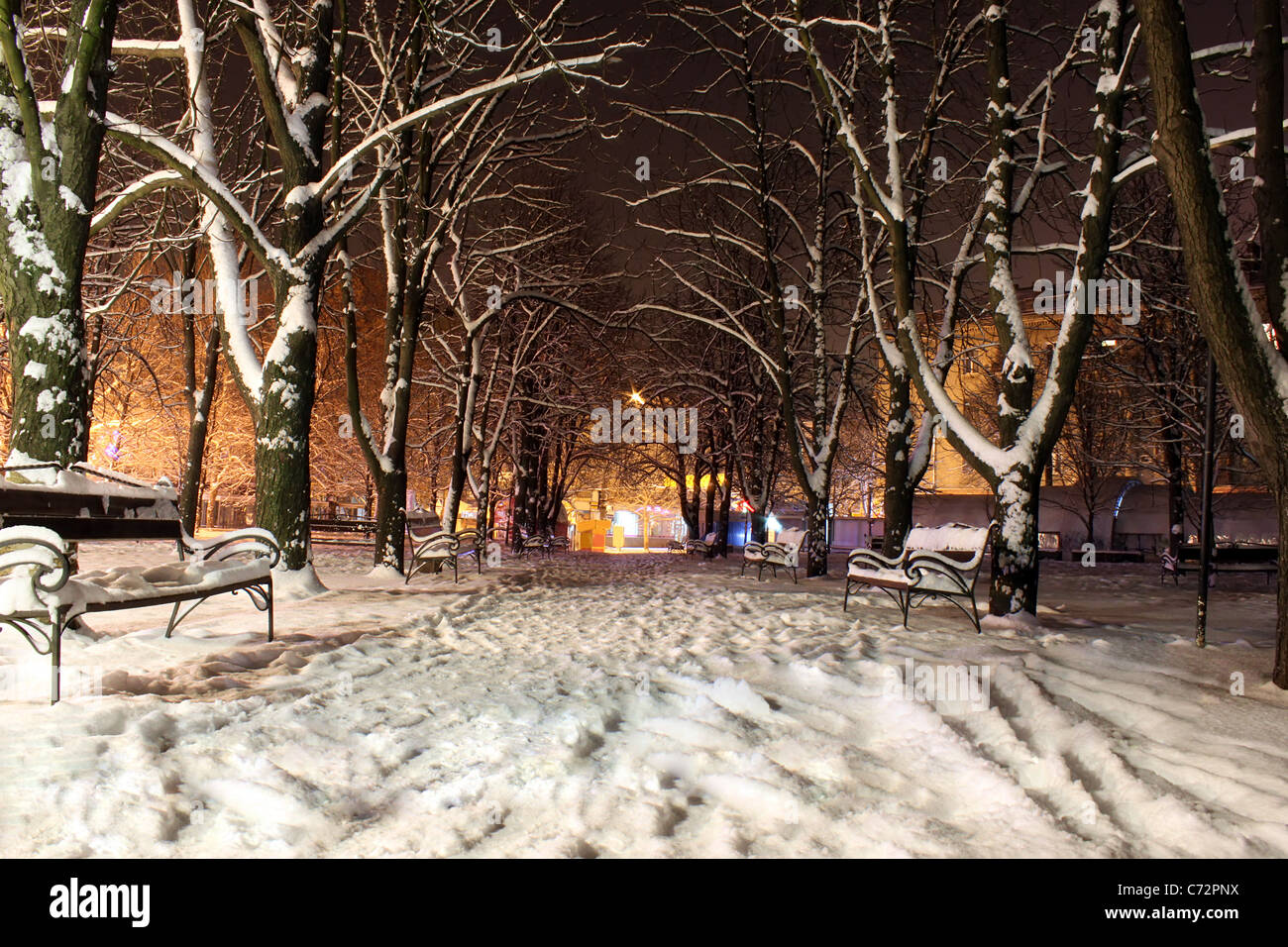 Winternacht in einem park Stockfoto