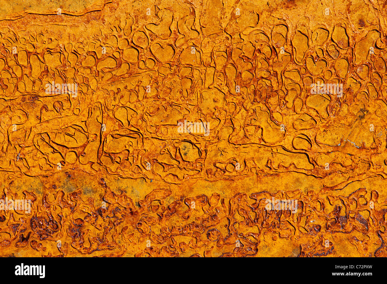 Rost-Muster auf Stahlblech Stockfoto