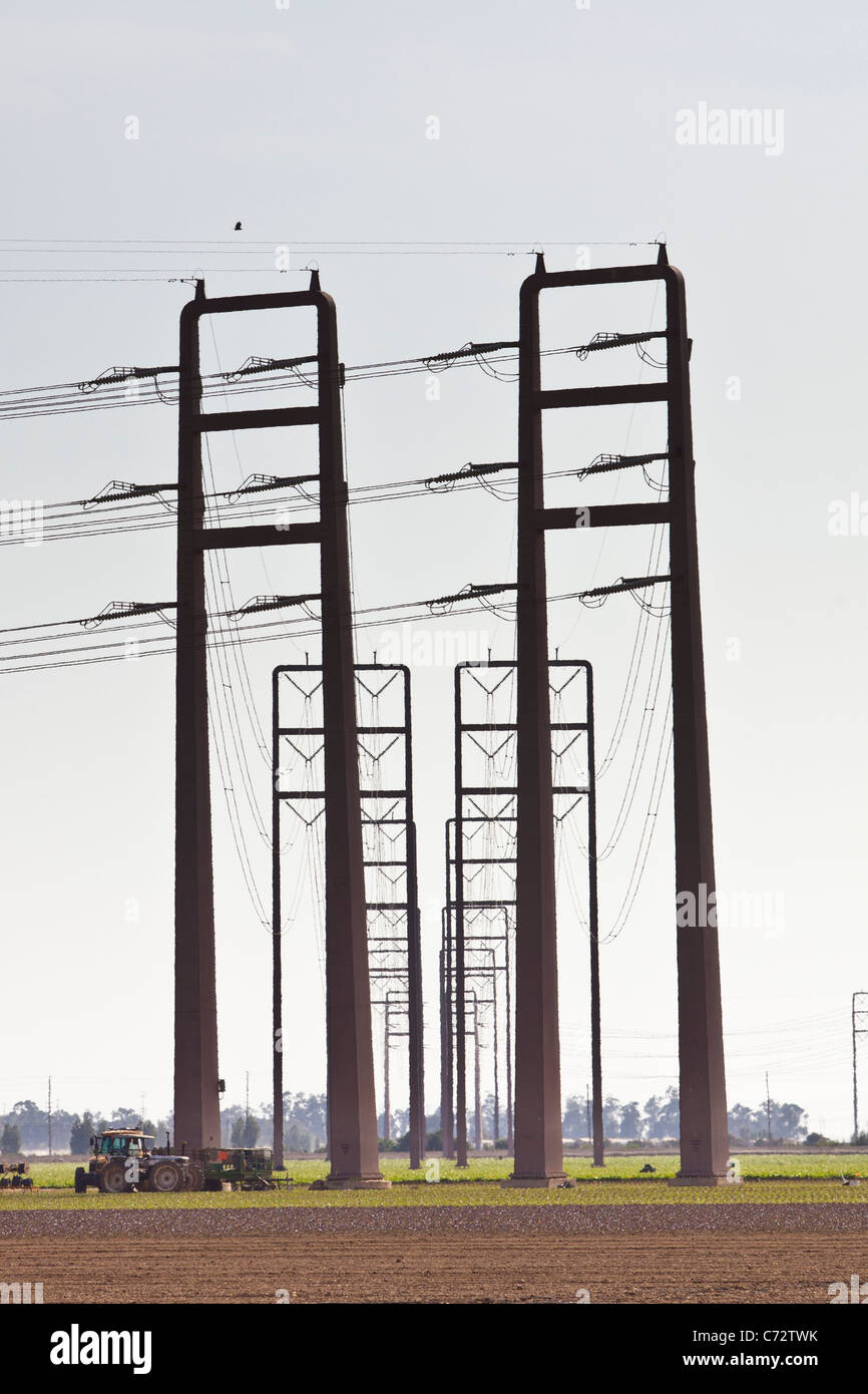 Stromleitungen über ein Feld-Hof in Ventura, Kalifornien Stockfoto
