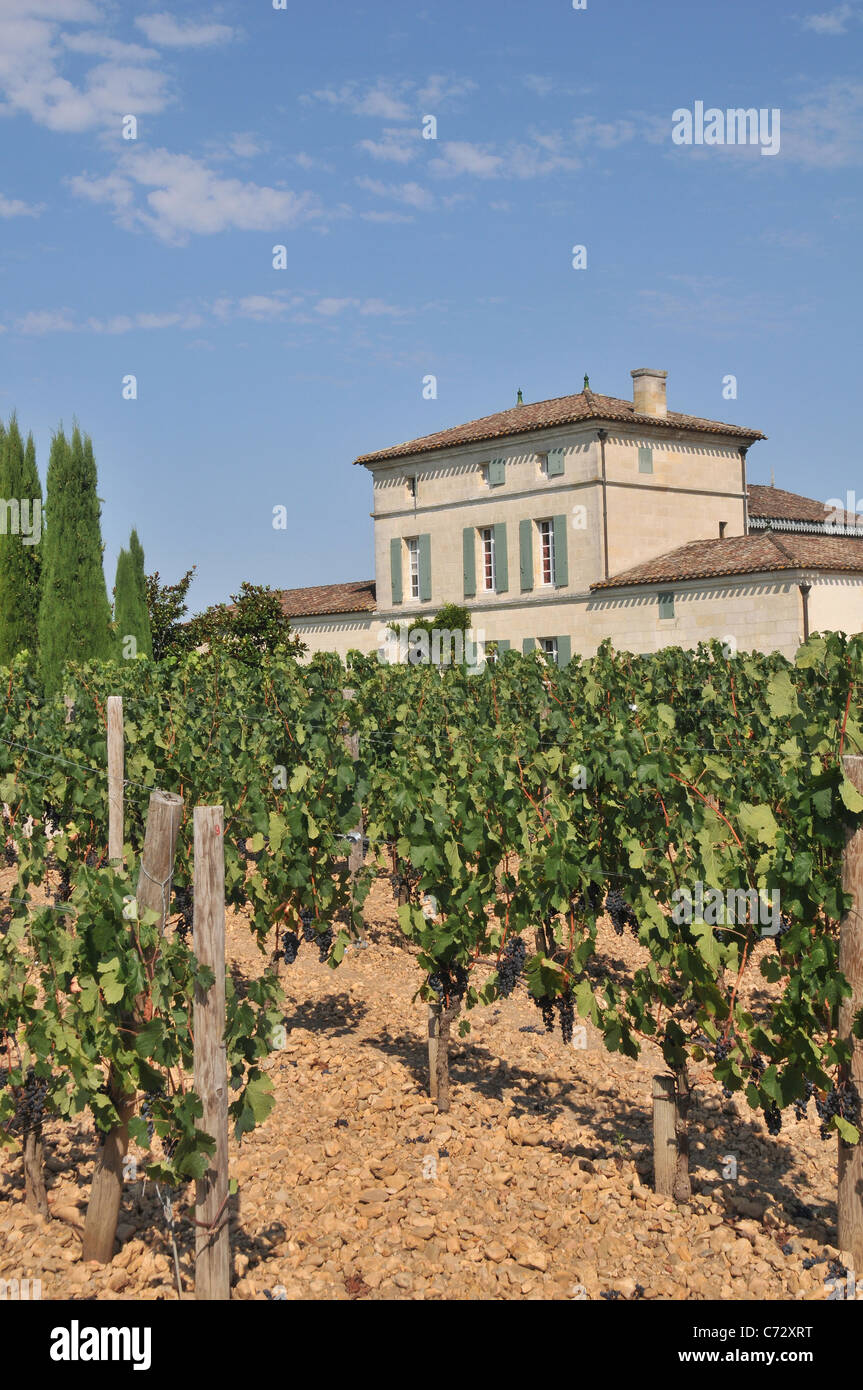 Chateau Lafleur-Petrus, Pomerol, Frankreich Stockfoto