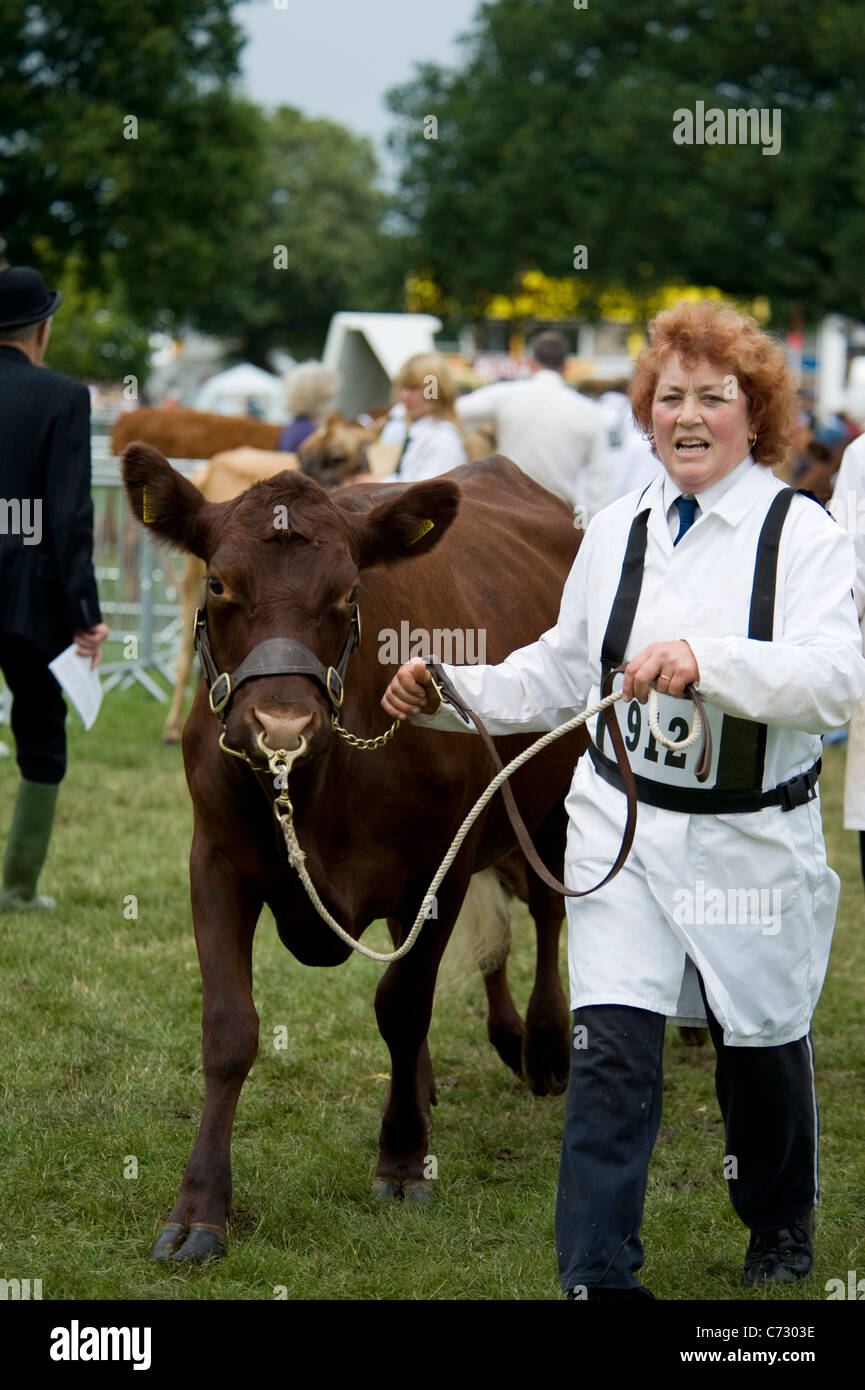 Zeigt Rinder auf der letzten Royal Show im Juli 2009 Stockfoto