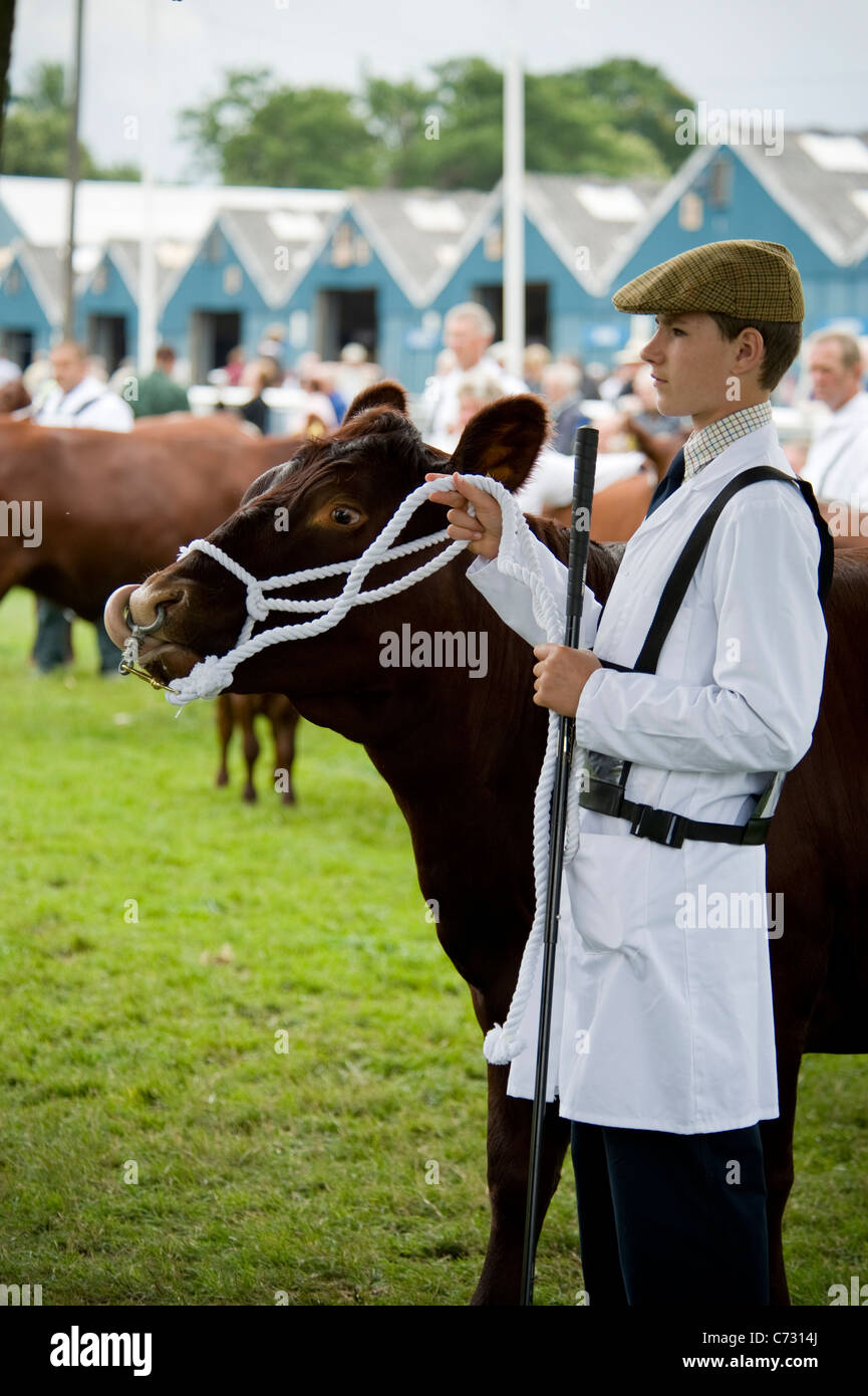 Die letzte Royal Show im Juli 2009 ein junger Landwirt junge zeigt seine Kuh auf der Messe. Stockfoto