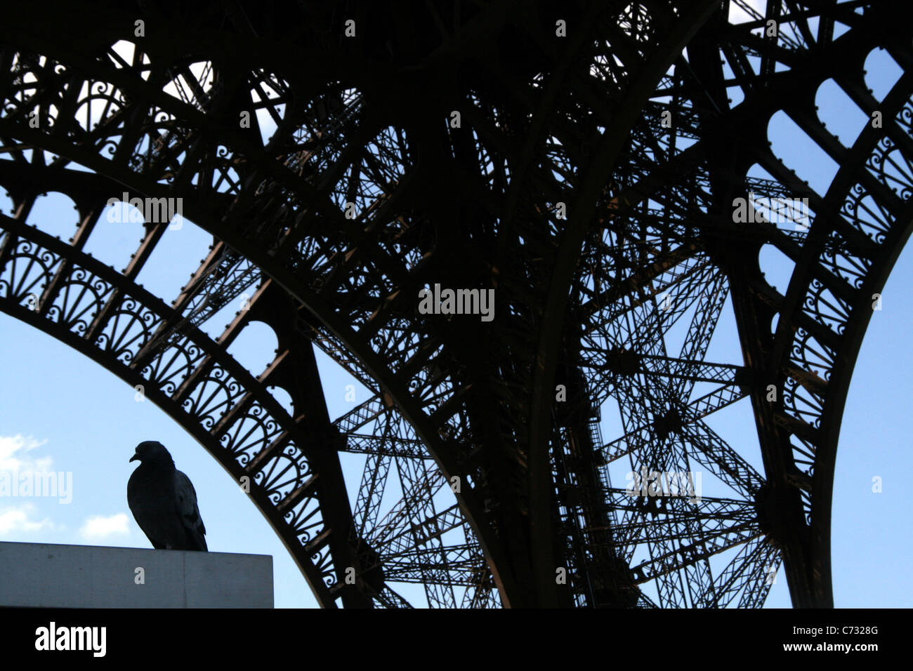 der Eiffelturm in paris Stockfoto