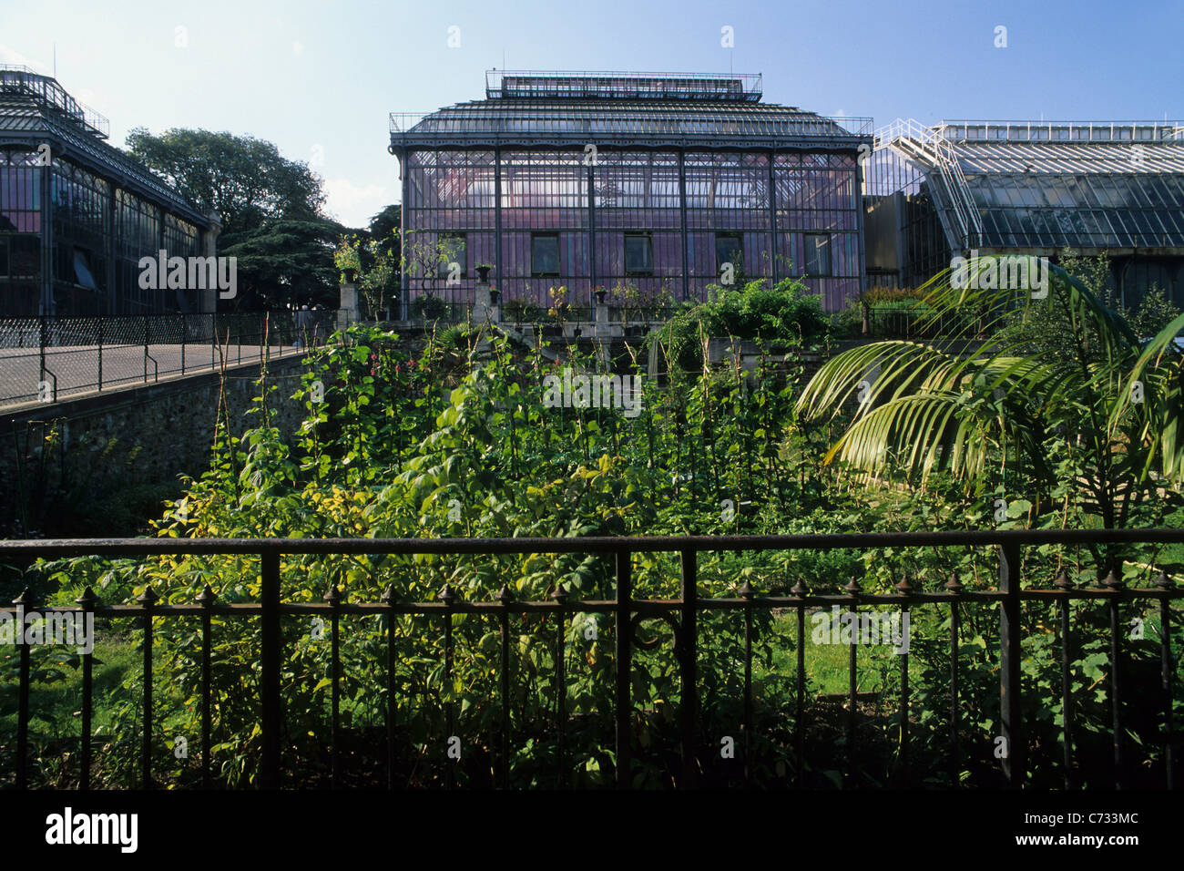 Jardin des Plantes, mexikanische Treibhaus, Botanischer Garten, 5e Arrondissement, Paris, Frankreich Stockfoto