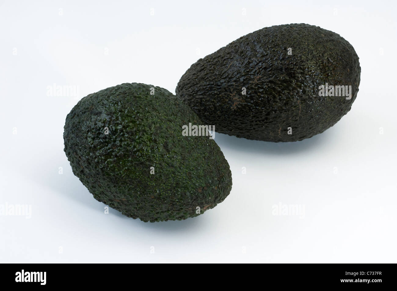 Avocado (Persea Americana), zwei Reife Früchte. Studio erschossen vor einem weißen Hintergrund. Stockfoto