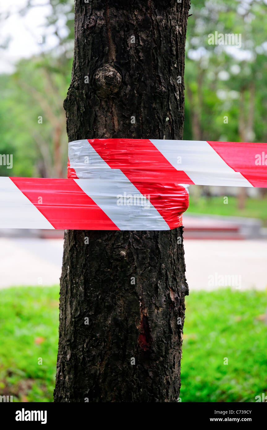 kein Eintrag durch die Baumreihe Stockfoto