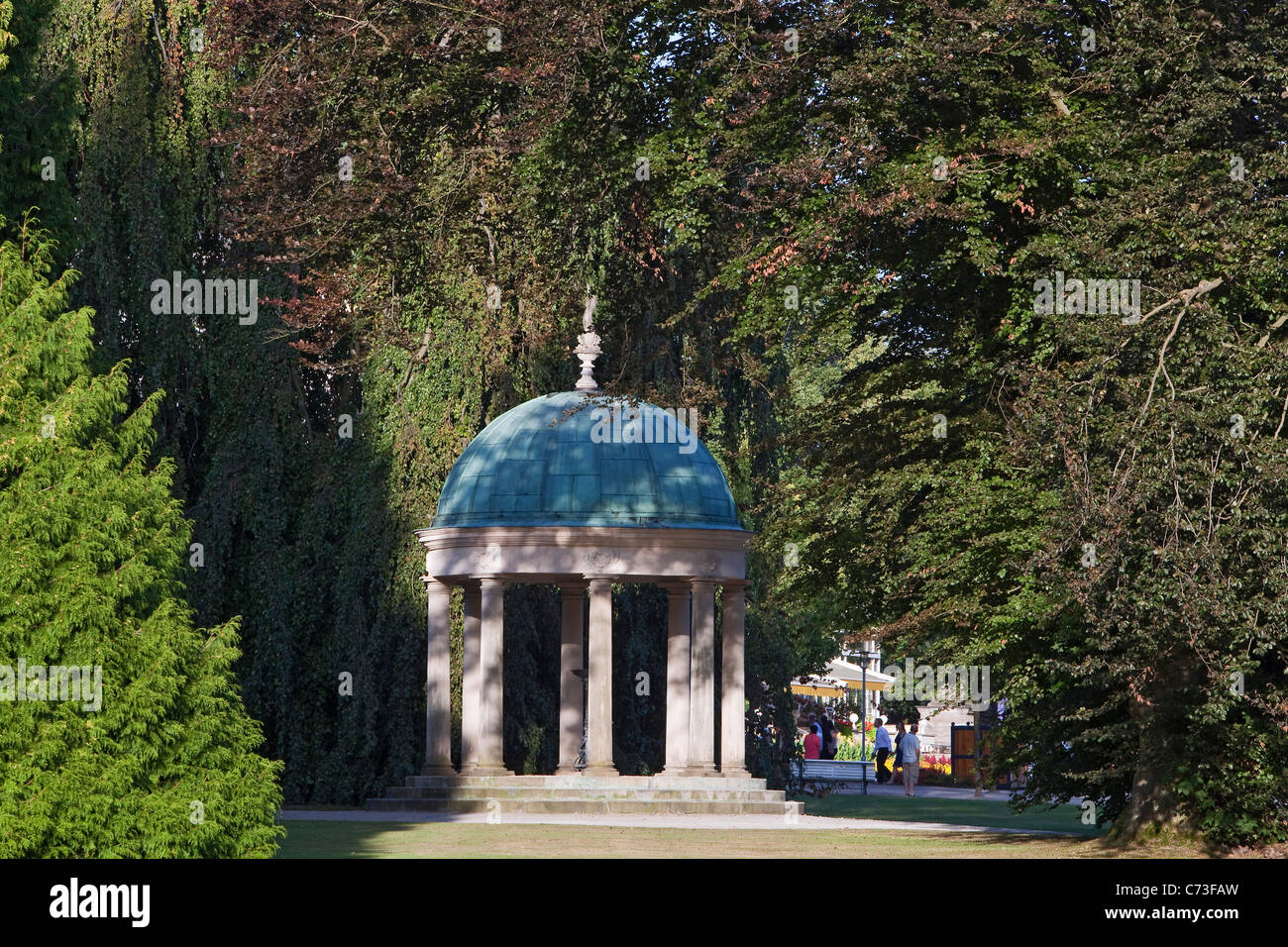 Beech Trees Stockfotos und bilder Kaufen Alamy