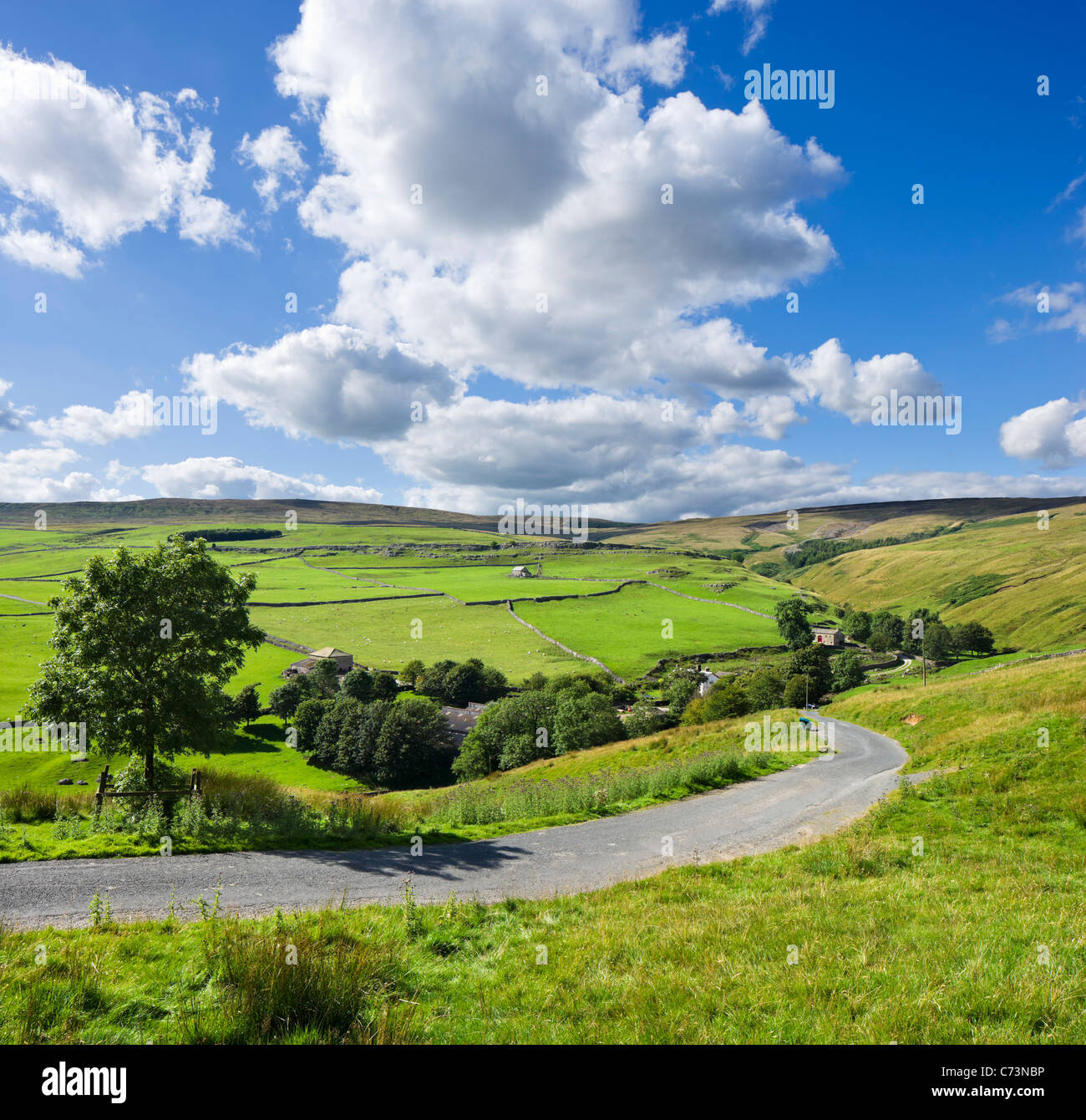 Englische Landschaft. Landschaft zwischen Arncliffe und Malham, Littondale, Yorkshire Dales National Park, England, Vereinigtes Königreich Stockfoto