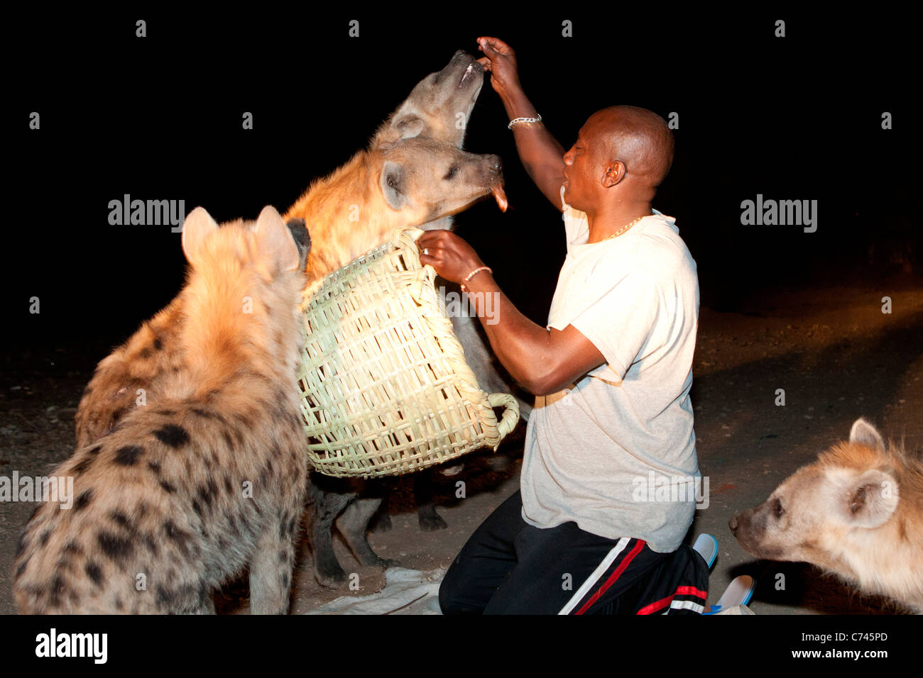 Die Hyäne-Mann Fütterungen Hyänen in der Nähe von Sanga Tor außerhalb der Stadtmauern von Harar in Ost-Äthiopien, Afrika. Stockfoto