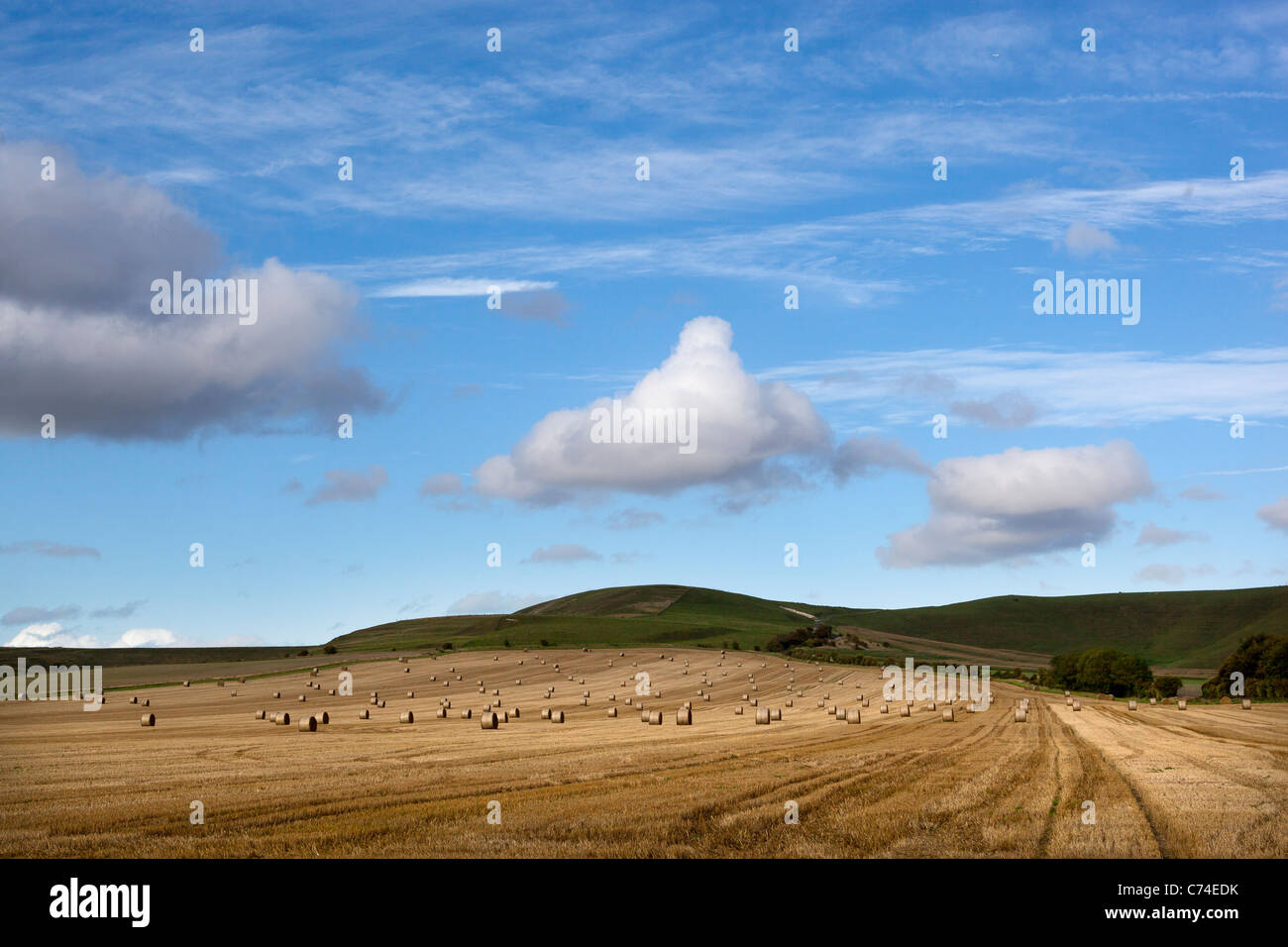 Abgeernteten Weizenfeld mit Rundballen oder Räder von Heu Stockfoto