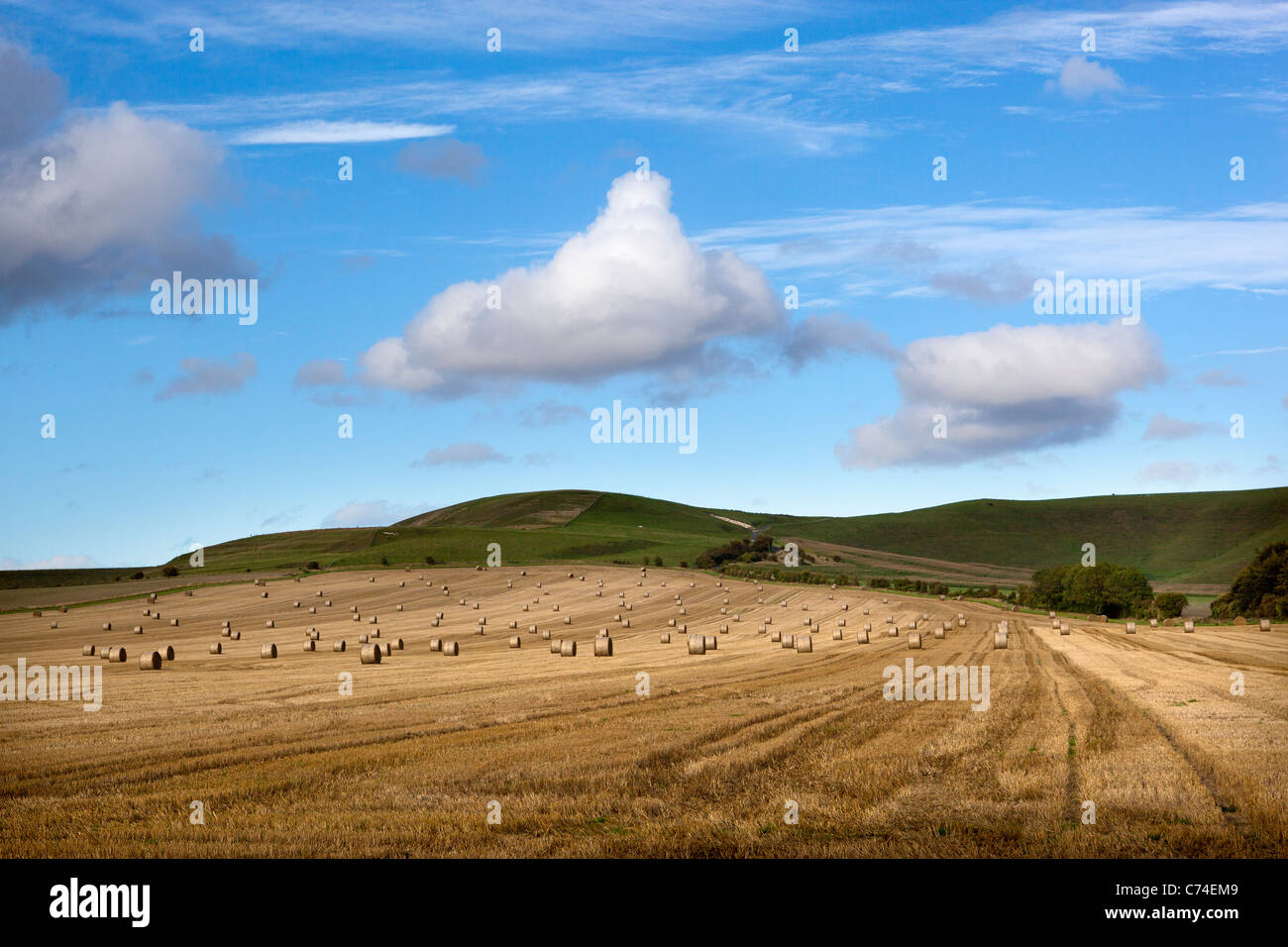 Abgeernteten Weizenfeld mit Rundballen oder Räder von Heu Stockfoto