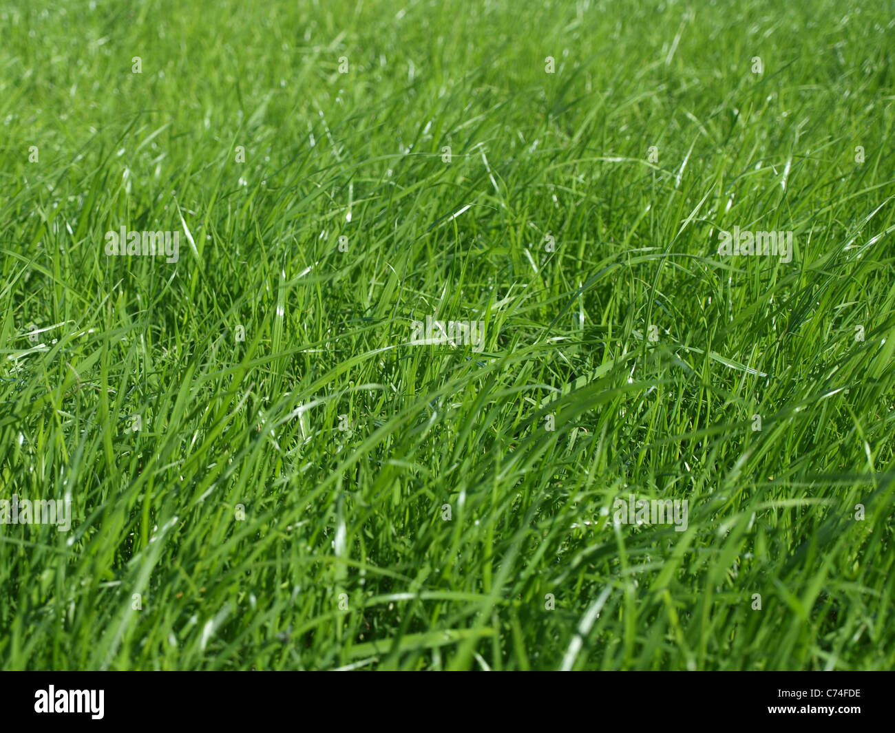 Saubere schöne Hintergrund Stockfoto