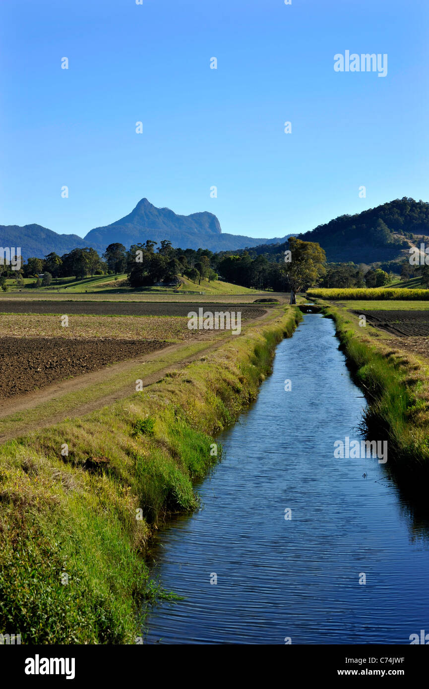 Ein Bewässerungskanal in Zuckerrohr Land in der Nähe von Murwillumbah Australien Stockfoto