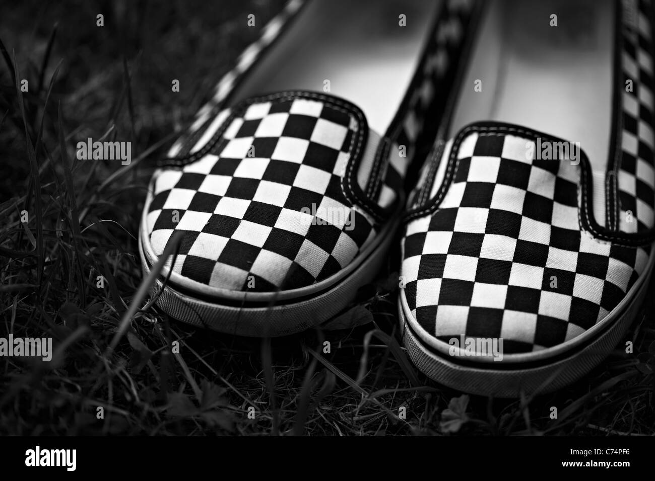 Karierte Schuhe auf dem Rasen, Monochrom Stockfoto